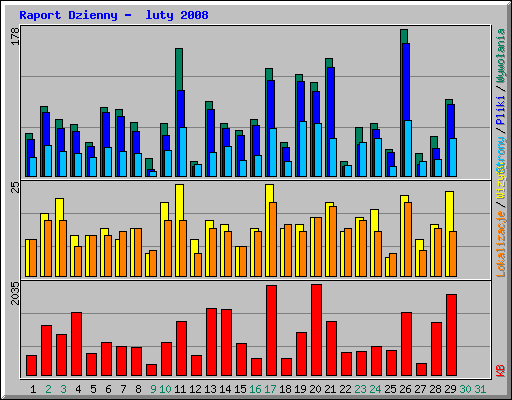 Raport Dzienny -  luty 2008