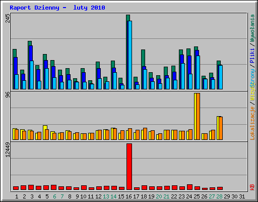 Raport Dzienny -  luty 2010