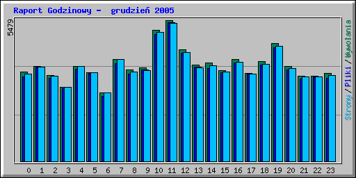 Raport Godzinowy -  grudzie 2005