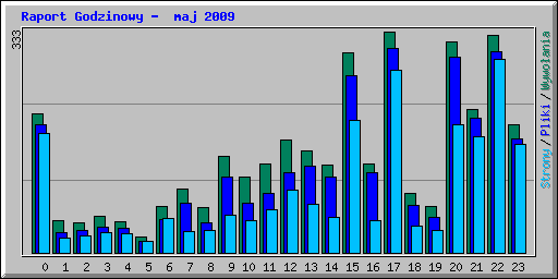 Raport Godzinowy -  maj 2009