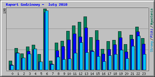 Raport Godzinowy -  luty 2010