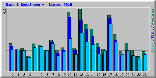Raport Godzinowy -  lipiec 2010