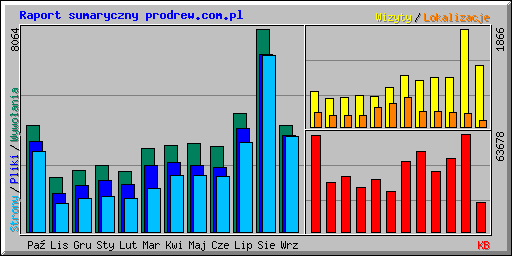 Raport sumaryczny prodrew.com.pl
